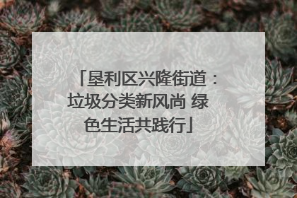 垦利区兴隆街道：垃圾分类新风尚 绿色生活共践行