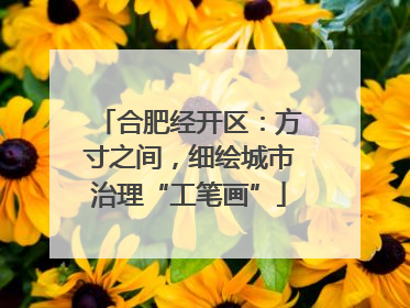 合肥经开区：方寸之间，细绘城市治理“工笔画”