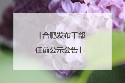 合肥发布干部任前公示公告