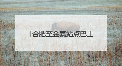 合肥至金寨站点巴士5月29日首发，开线体验价29.9元