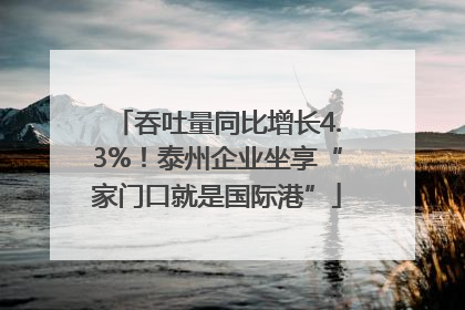 吞吐量同比增长4.3%！泰州企业坐享“家门口就是国际港”