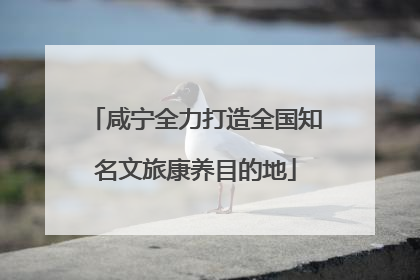 咸宁全力打造全国知名文旅康养目的地
