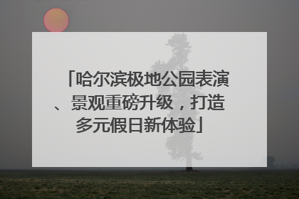 哈尔滨极地公园表演、景观重磅升级，打造多元假日新体验