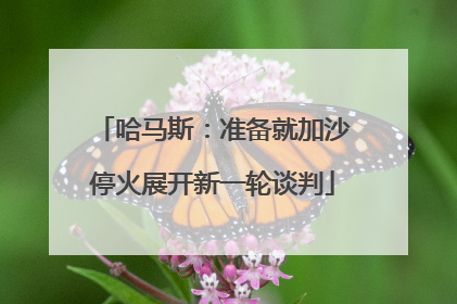 哈马斯：准备就加沙停火展开新一轮谈判