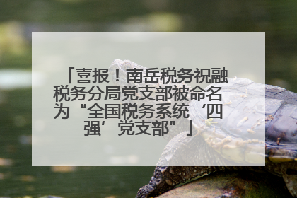 喜报！南岳税务祝融税务分局党支部被命名为“全国税务系统‘四强’党支部”