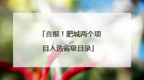 喜报！肥城两个项目入选省级目录