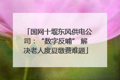 国网十堰东风供电公司：“数字反哺” 解决老人度夏缴费难题