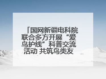 国网新疆电科院联合多方开展“爱鸟护线”科普交流活动 共筑鸟类友好城市