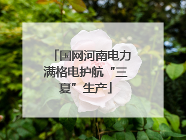 国网河南电力满格电护航“三夏”生产