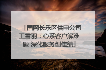 国网长乐区供电公司王雪羽：心系客户解难题 深化服务创佳绩