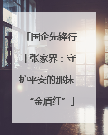 国企先锋行丨张家界：守护平安的那抹“金盾红”