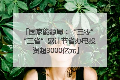 国家能源局：“三零”“三省”累计节省办电投资超3000亿元