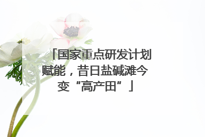 国家重点研发计划赋能，昔日盐碱滩今变“高产田”