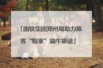 国铁集团郑州局助力旅客“粽享”端午旅途