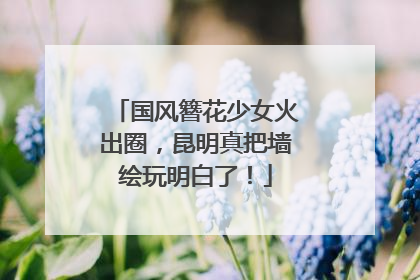 国风簪花少女火出圈，昆明真把墙绘玩明白了！