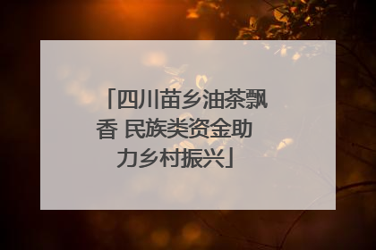 四川苗乡油茶飘香 民族类资金助力乡村振兴