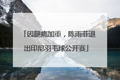 因腿痛加重，陈雨菲退出印尼羽毛球公开赛