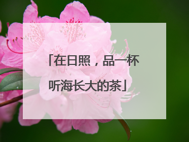 在日照，品一杯听海长大的茶