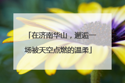在济南华山，邂逅一场被天空点燃的温柔