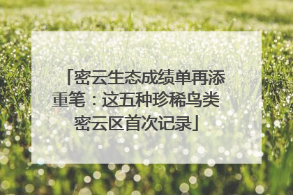 密云生态成绩单再添重笔：这五种珍稀鸟类密云区首次记录