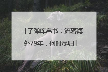 子弹库帛书：流落海外79年，何时尽归