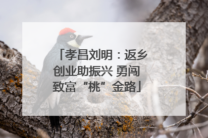 孝昌刘明：返乡创业助振兴 勇闯致富“桃”金路