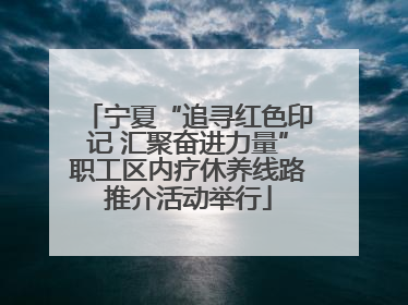 宁夏“追寻红色印记 汇聚奋进力量”职工区内疗休养线路推介活动举行