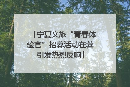 宁夏文旅“青春体验官”招募活动在蓉引发热烈反响