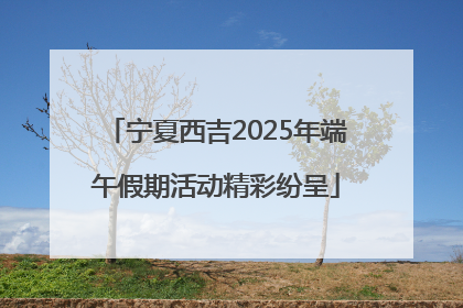 宁夏西吉2025年端午假期活动精彩纷呈