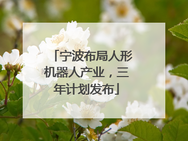 宁波布局人形机器人产业，三年计划发布