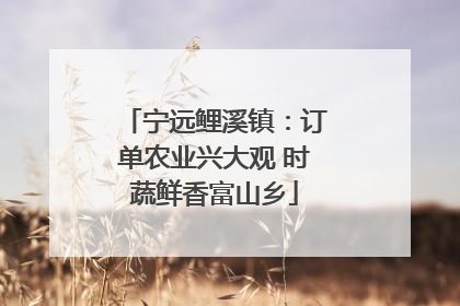 宁远鲤溪镇：订单农业兴大观 时蔬鲜香富山乡