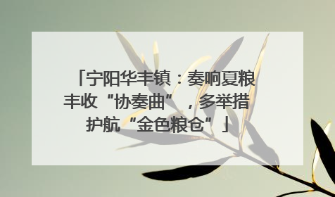宁阳华丰镇：奏响夏粮丰收“协奏曲”，多举措护航“金色粮仓”