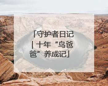 守护者日记｜十年“鸟爸爸”养成记