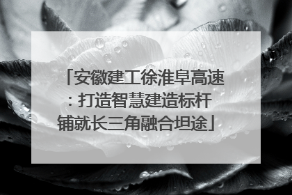 安徽建工徐淮阜高速：打造智慧建造标杆 铺就长三角融合坦途