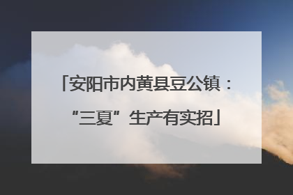 安阳市内黄县豆公镇：“三夏”生产有实招