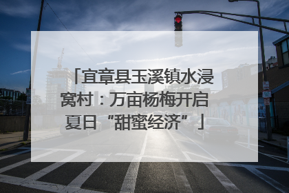 宜章县玉溪镇水浸窝村：万亩杨梅开启夏日“甜蜜经济”