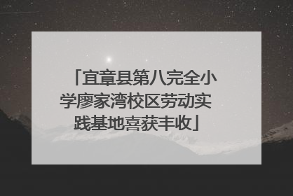 宜章县第八完全小学廖家湾校区劳动实践基地喜获丰收