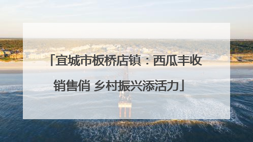 宜城市板桥店镇：西瓜丰收销售俏 乡村振兴添活力
