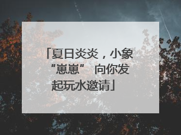 夏日炎炎，小象“崽崽” 向你发起玩水邀请