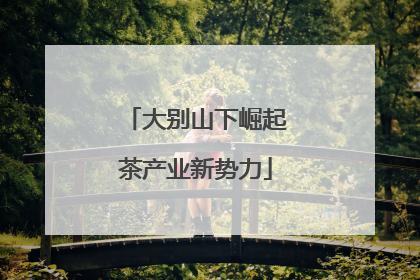 大别山下崛起茶产业新势力