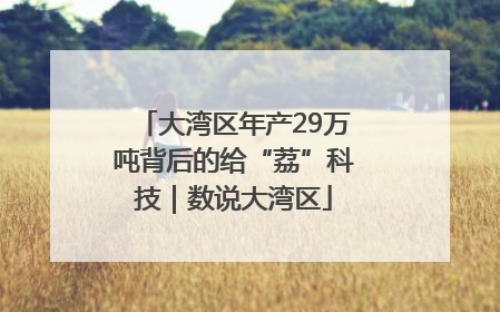 大湾区年产29万吨背后的给“荔”科技｜数说大湾区