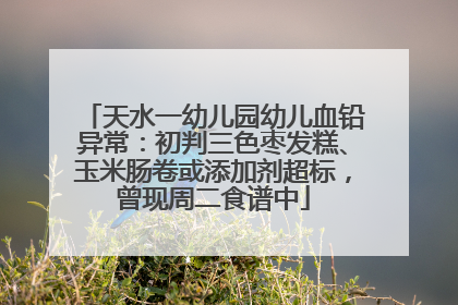 天水一幼儿园幼儿血铅异常：初判三色枣发糕、玉米肠卷或添加剂超标，曾现周二食谱中