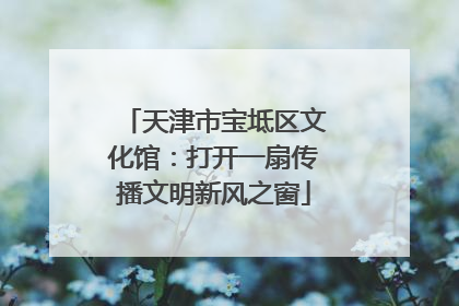 天津市宝坻区文化馆：打开一扇传播文明新风之窗