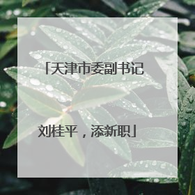 天津市委副书记刘桂平，添新职