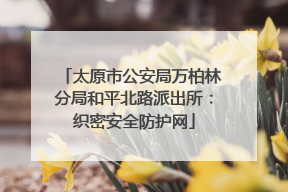 太原市公安局万柏林分局和平北路派出所：织密安全防护网