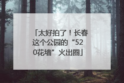 太好拍了！长春这个公园的“520花墙”火出圈
