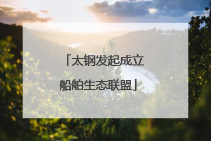 太钢发起成立船舶生态联盟