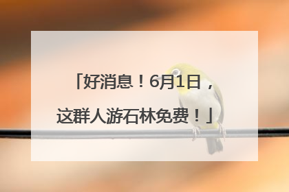 好消息！6月1日，这群人游石林免费！