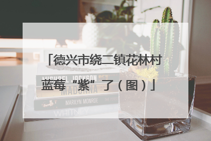 德兴市绕二镇花林村蓝莓“紫”了（图）