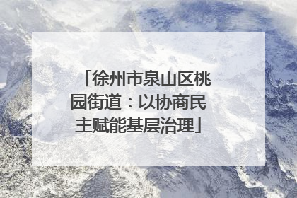 徐州市泉山区桃园街道：以协商民主赋能基层治理